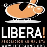 Libera! ofrece asistencia jurídica gratuita contra el maltrato animal
